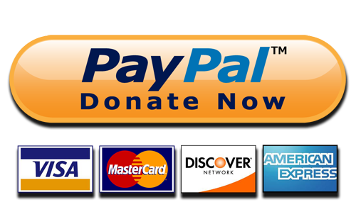 PayPal Donate Button High Quality PNG